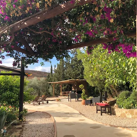 Amorosa Bed & Breakfast